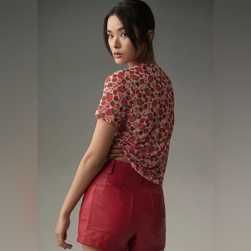 Anthropologie Porridge Strawberry mesh sheer Patterned Blouse short sleeve top - Picture 3 of 7